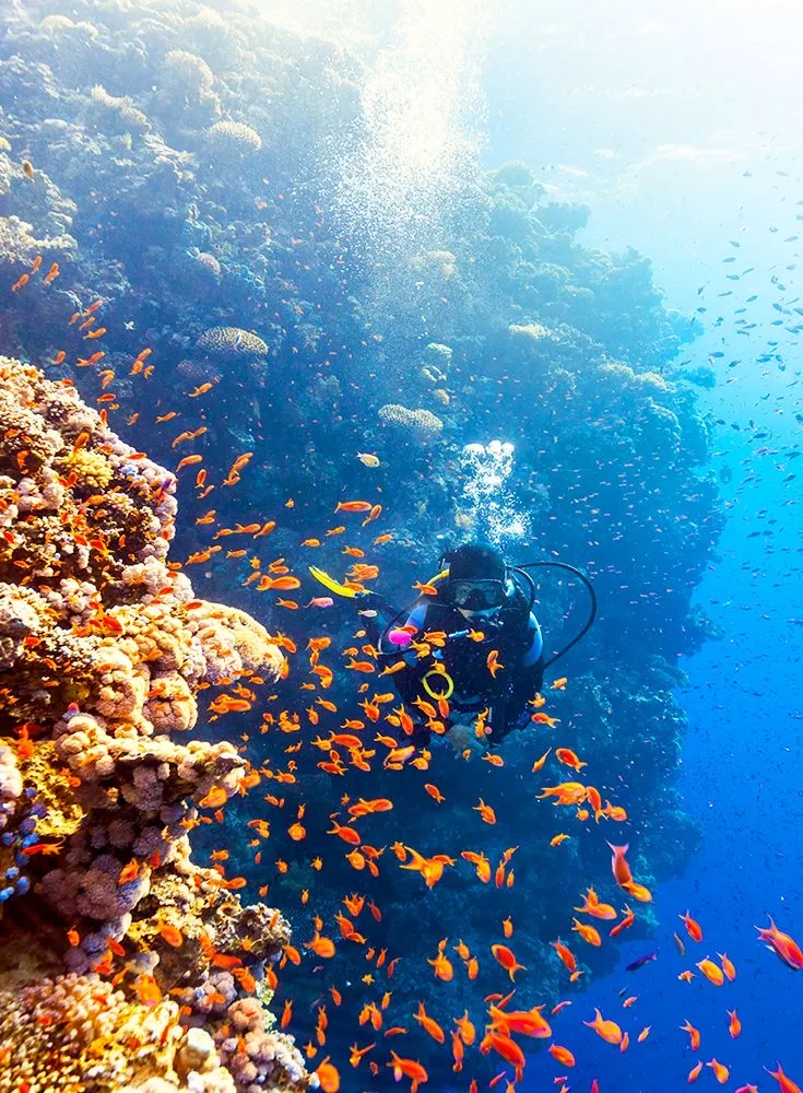 The Red Sea, Egypt