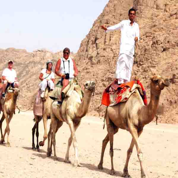 camel ride in desert