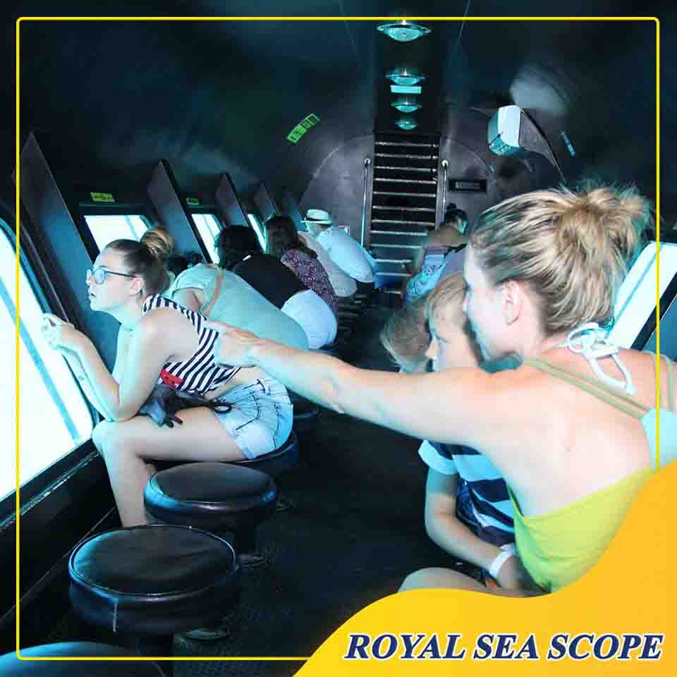 people inside royal sea scope